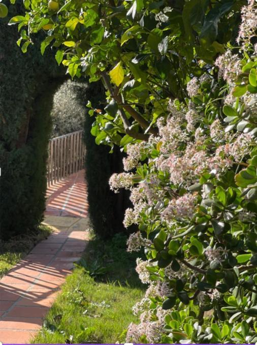 Hotel Rural Los Caracoles Frigiliana Εξωτερικό φωτογραφία